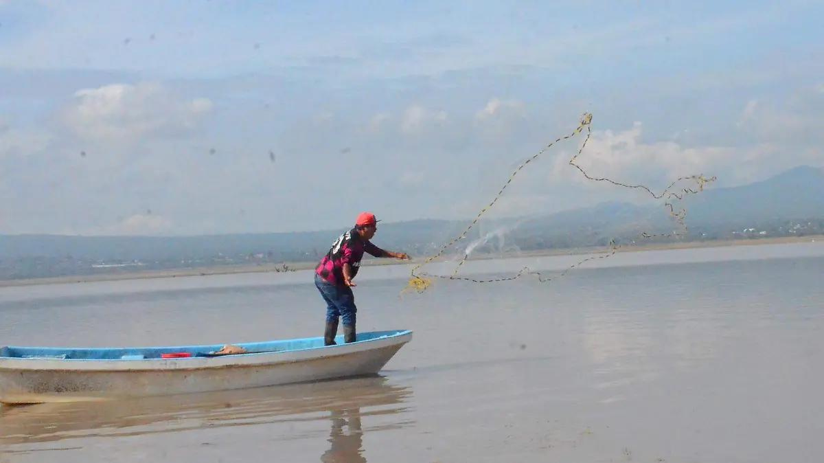 Creditio y numero de foto luis luevanos03