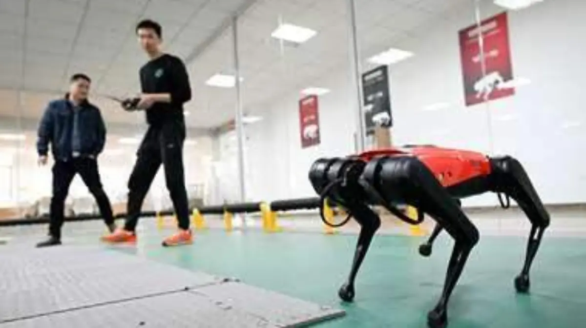 Perros robot-AFP