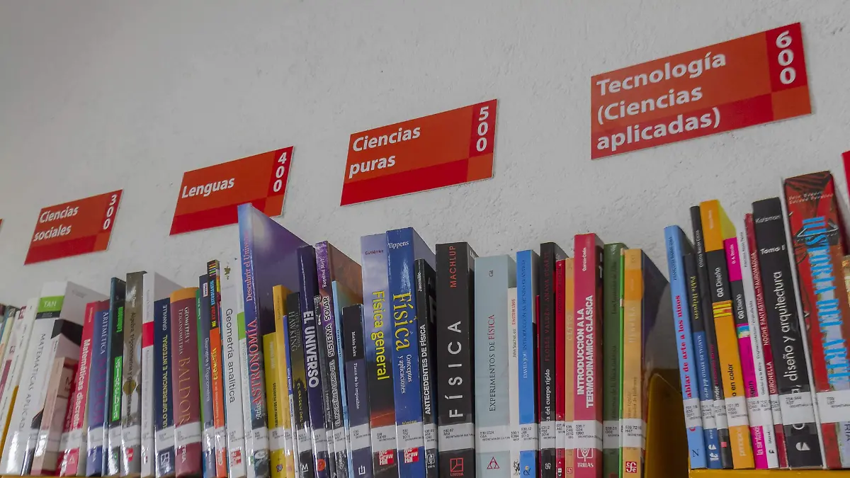 Evitar poner en riesgo el acervo bibliográfico, es el propósito de la rehabilitación.  Foto César Ortiz.