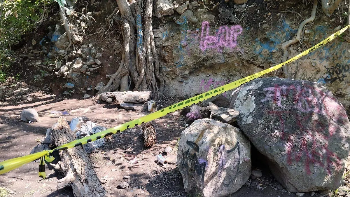 WhatsApp Image 2023-07-12 at 3.59.52 PM