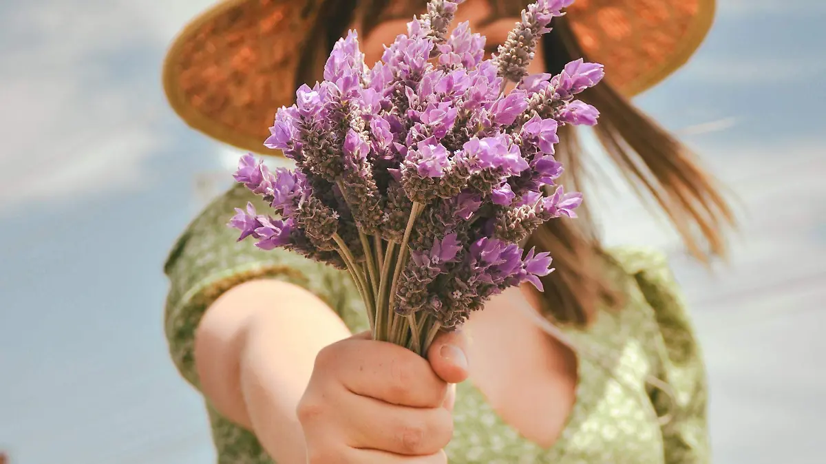 220314_LA MIRADA, CAMPOS DE LAVANDA_AAC 12