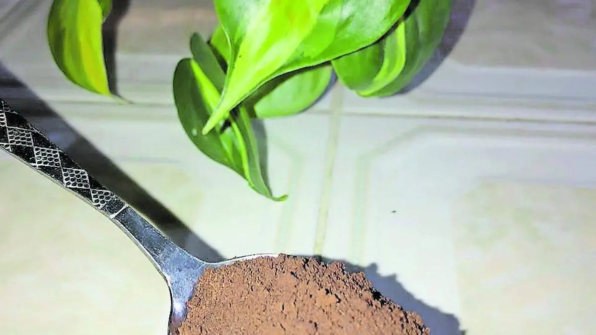 mascarillas (8)_CMYK