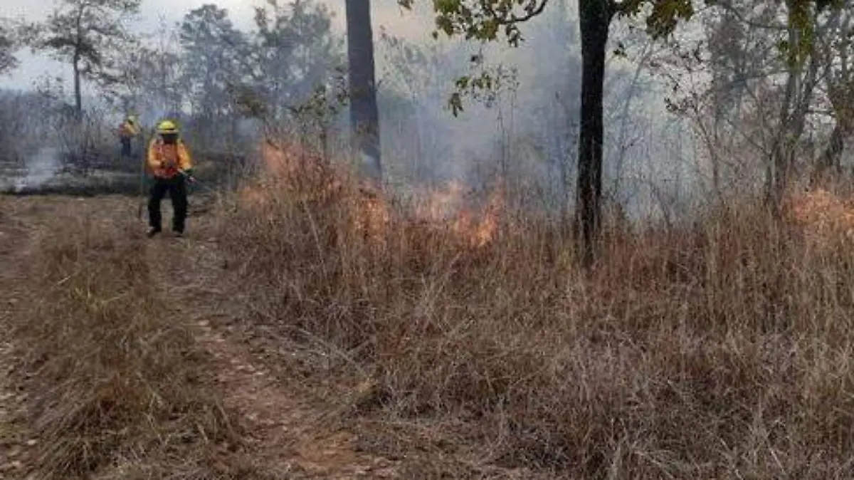 incendios forestales en guatemala