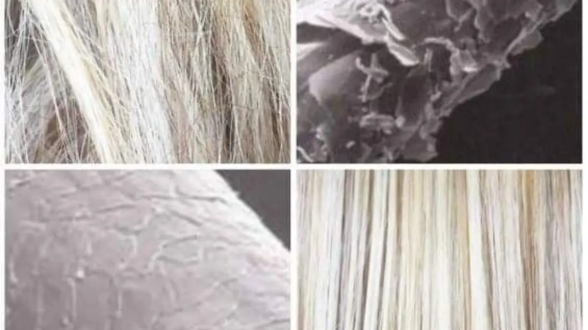 db106965-2d81-4ffd-9a01-35a667fb4750