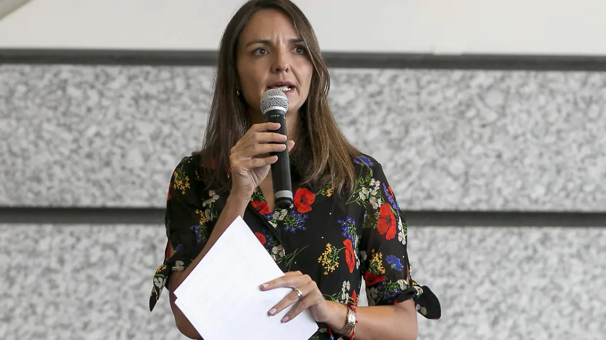 LEGISLADORES FEDERALES