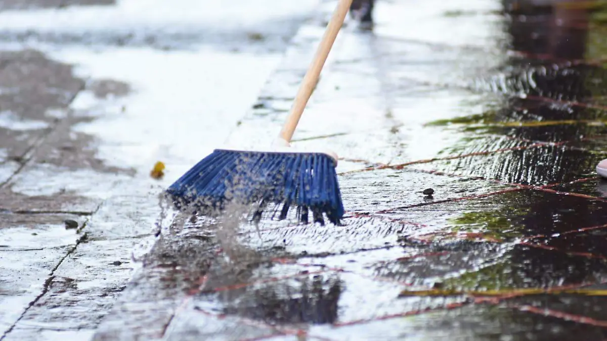 Jornada de limpieza7-FR