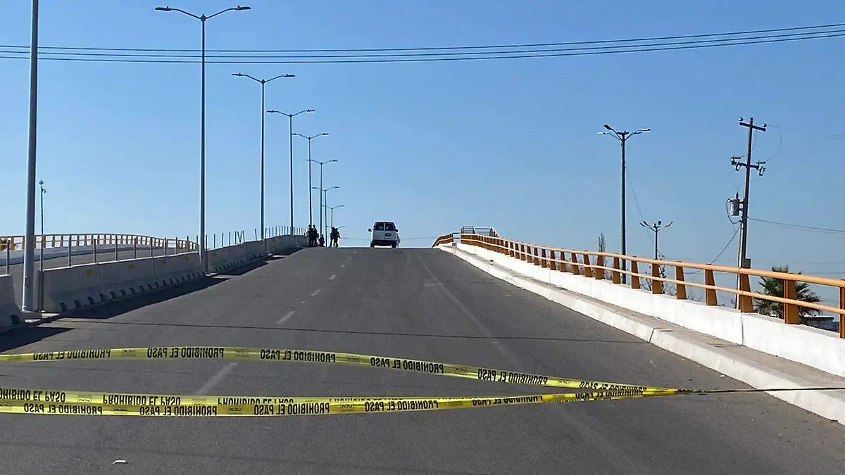 a9b015b5-fdba-4c96-9948-7dc5a9f78358