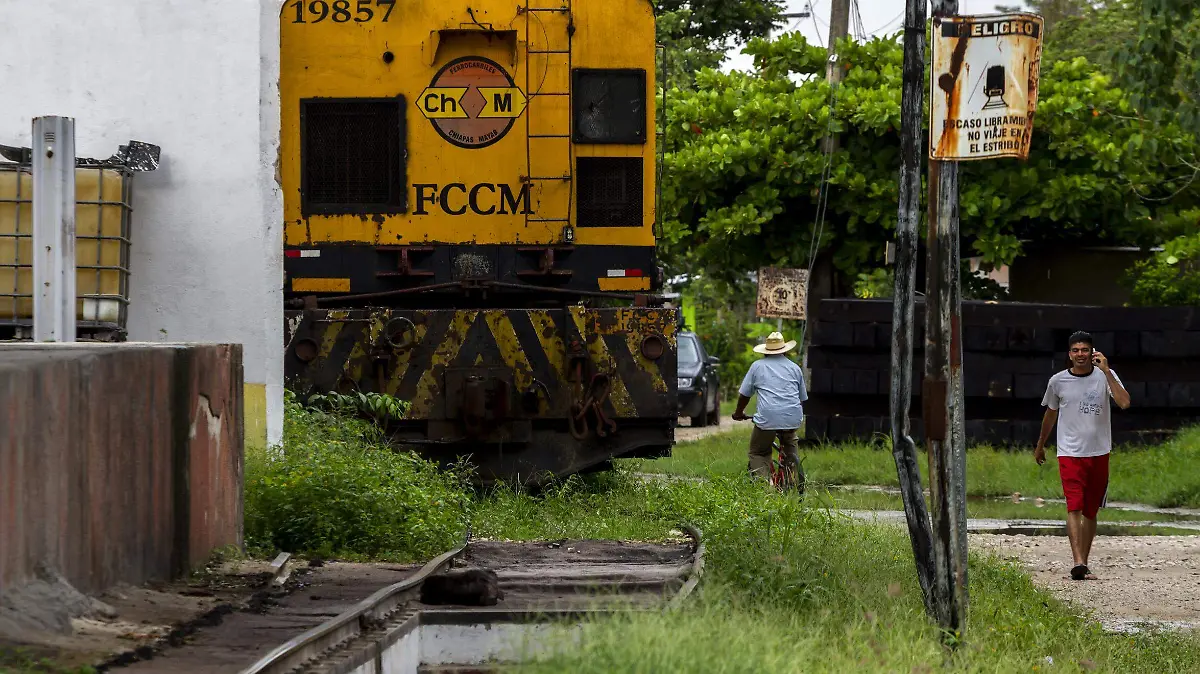 Tren palenque 80916071