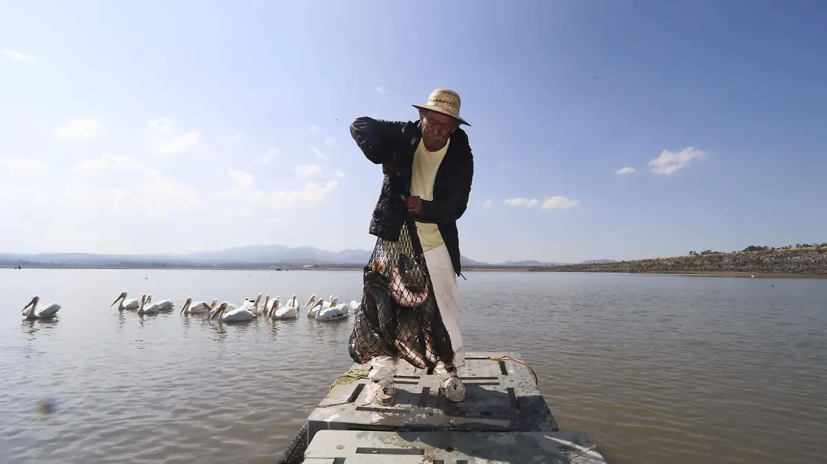 presa Constitución 1917 de la comunidad de La Estancia