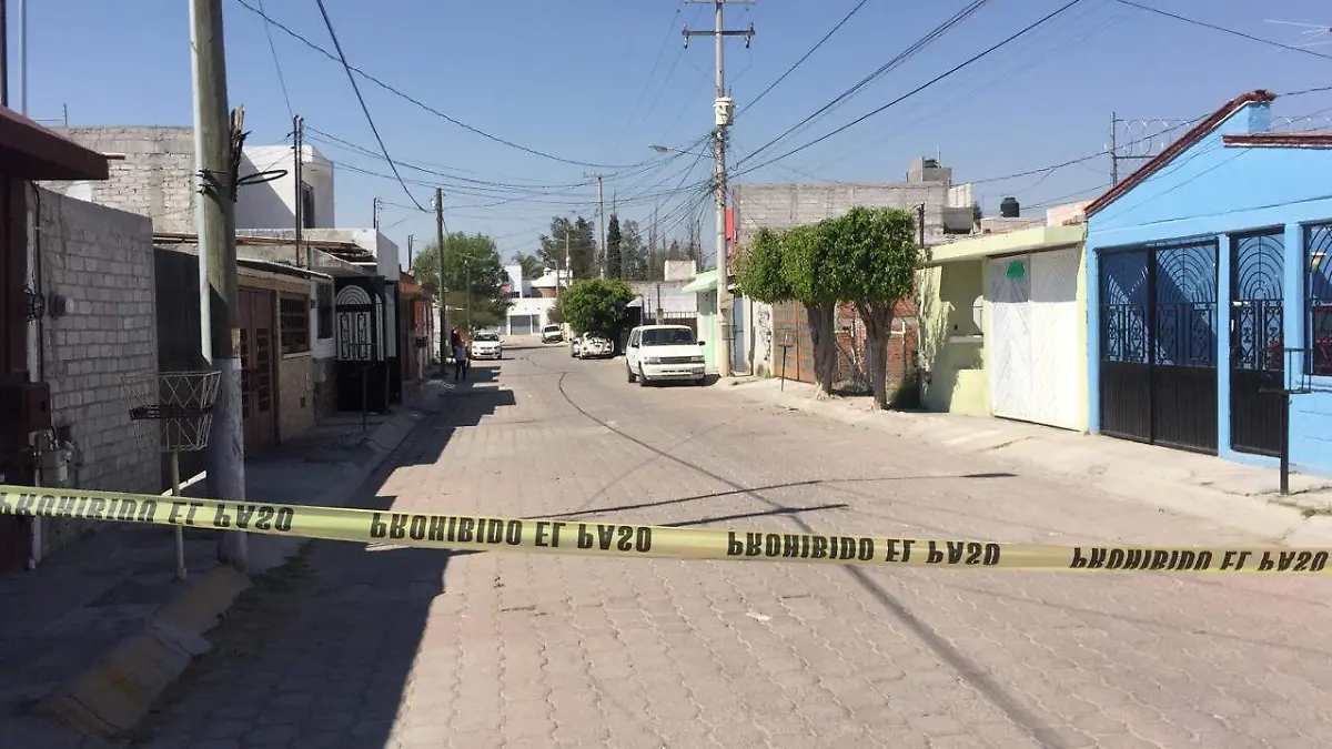 WhatsApp Image 2021-02-21 at 11.17.11 AM