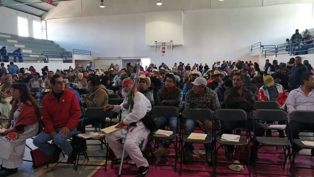 WhatsApp Image 2020-02-06 at 8.30.08 PM