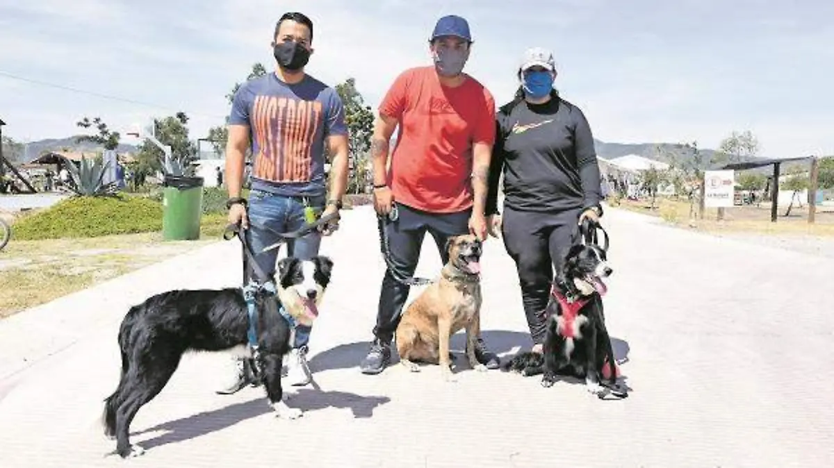 MINI ZOOO_GRAN RESERVA_7_CMYK