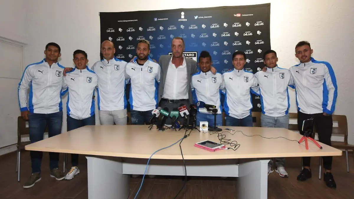 Gallos blancos FOTO MARCOS 