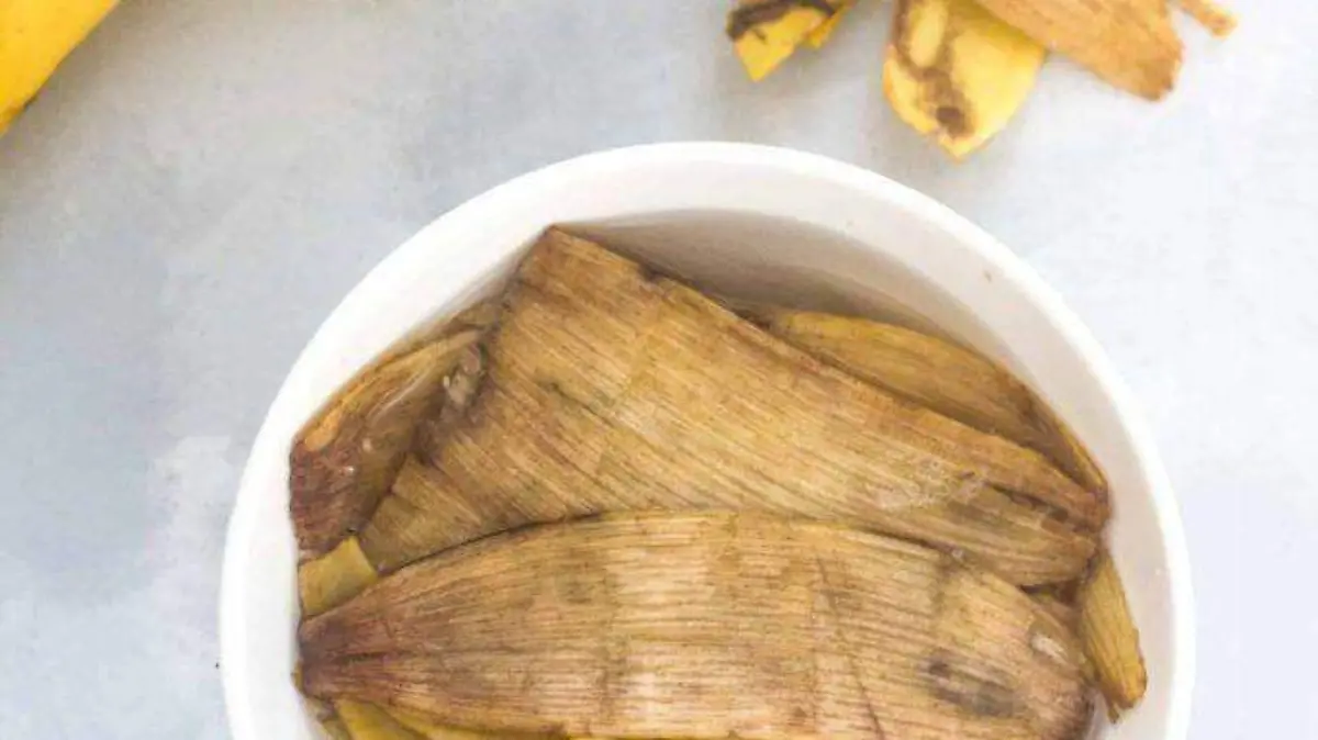 platano 4