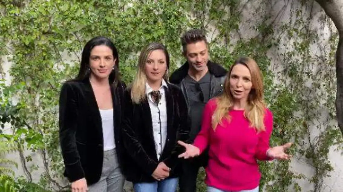 OV7 declaracion final