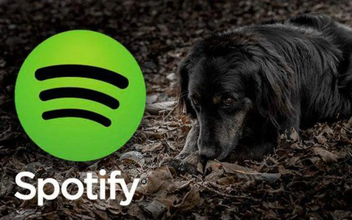 spotify-musica-mascotas