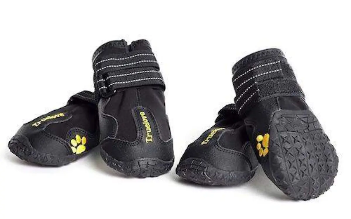 comprar-botas-para-perros