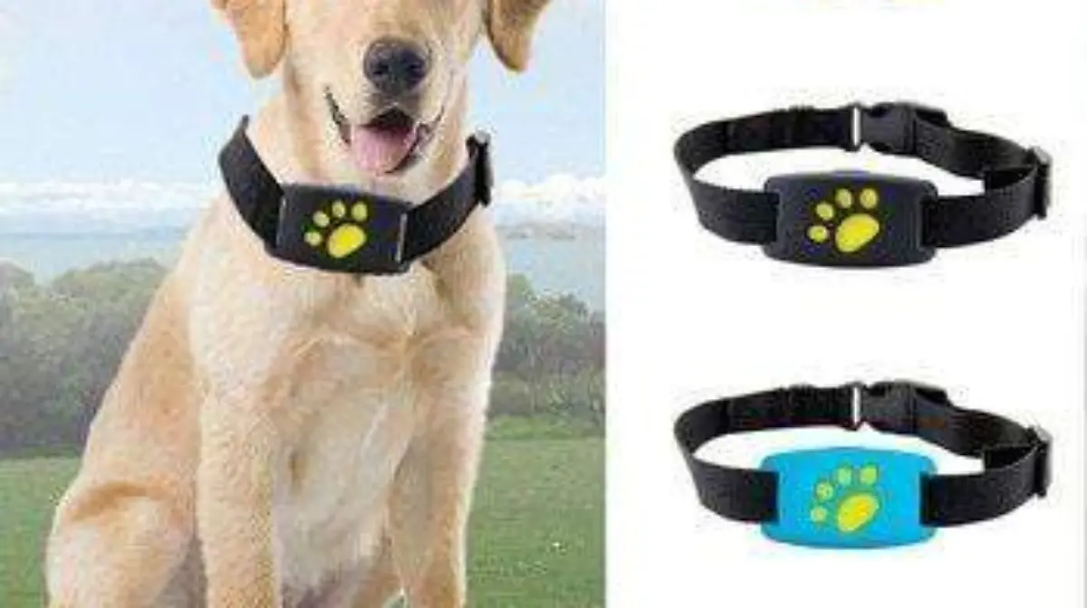 Localizador-GPS-para-mascotas