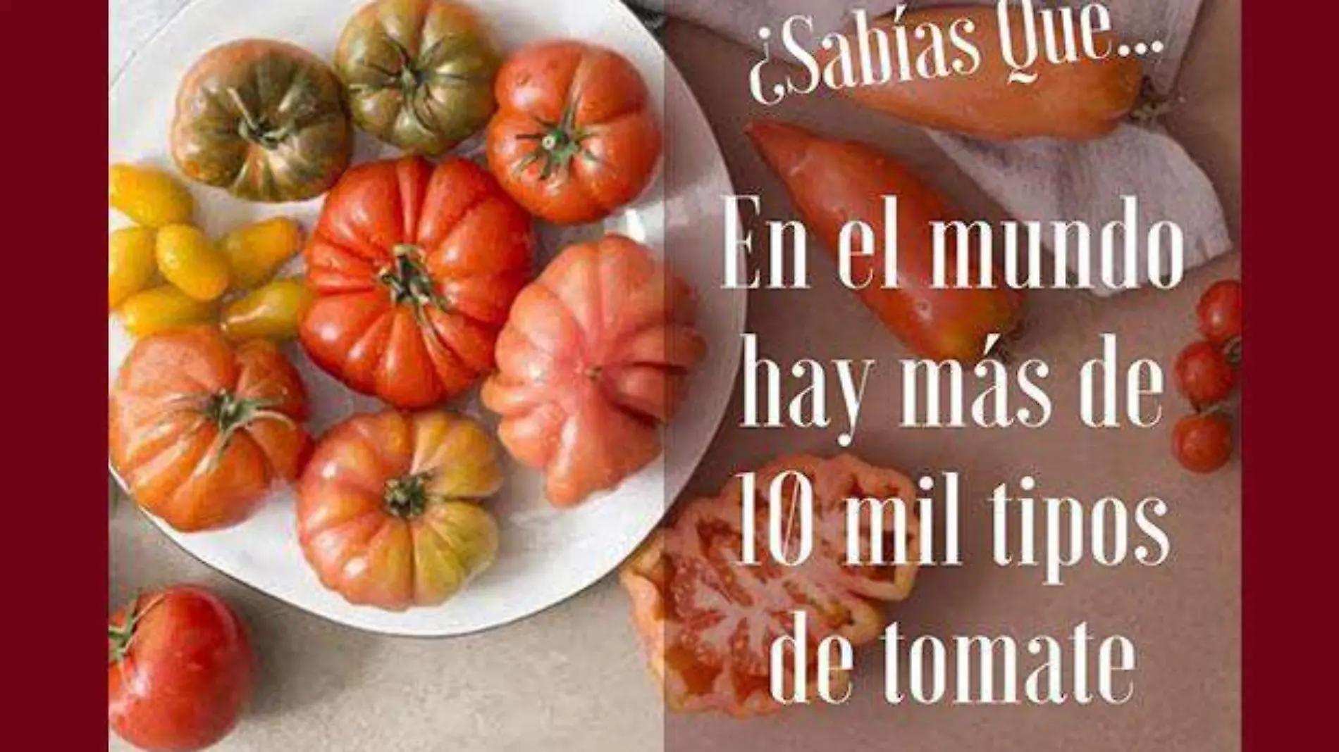 tomates