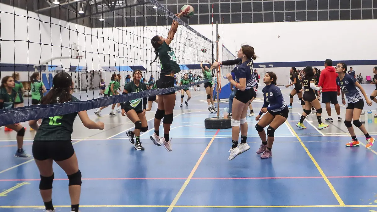 DEP Voleibol