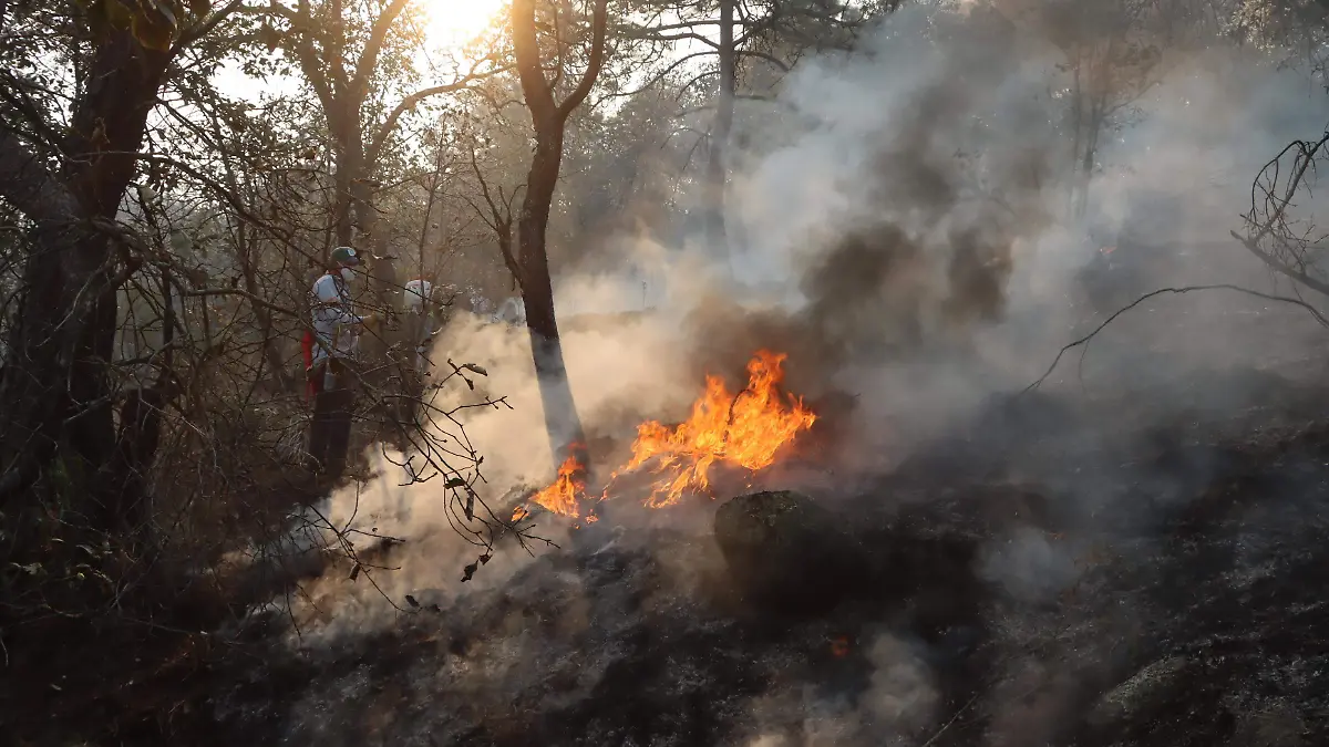 250401_INCENDIO FORESTAL AMEALCO_DAVID VALDEZ_25