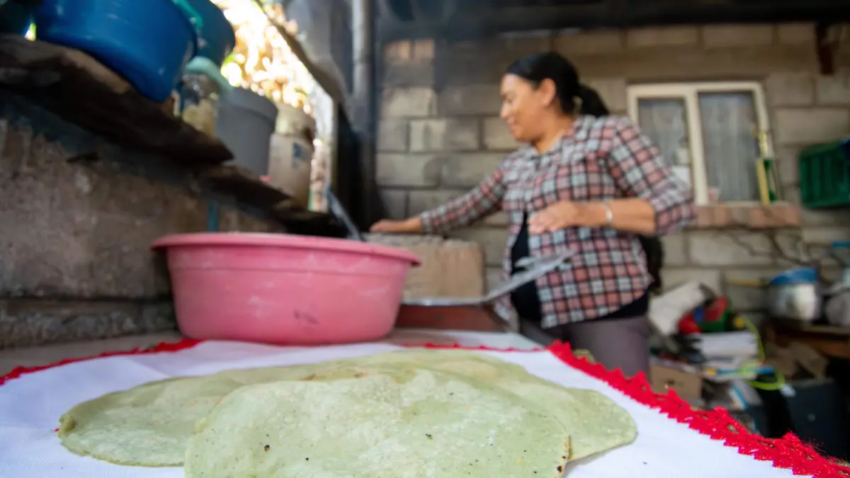 Tortillas de nopal