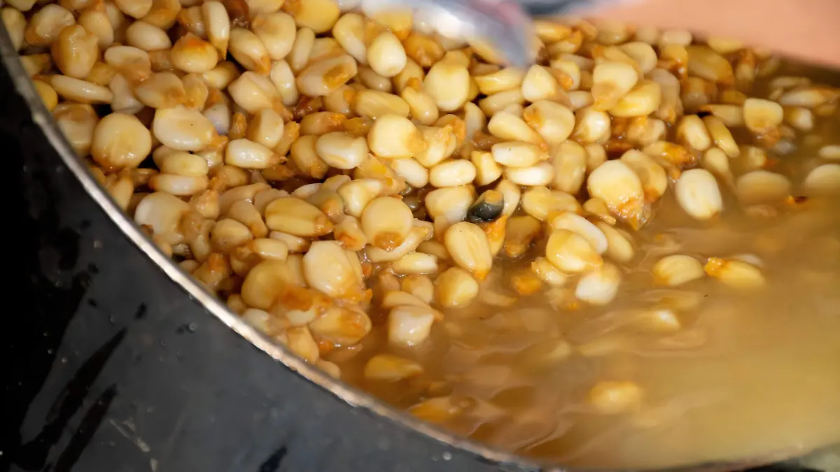 Tortillas de nopal