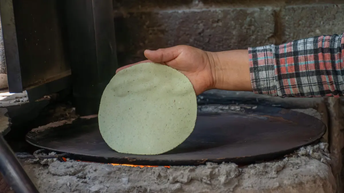 Tortillas de nopal