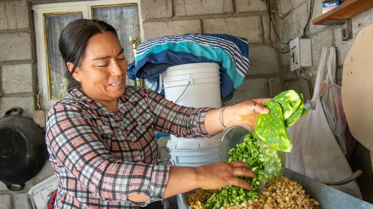 Tortillas de nopal