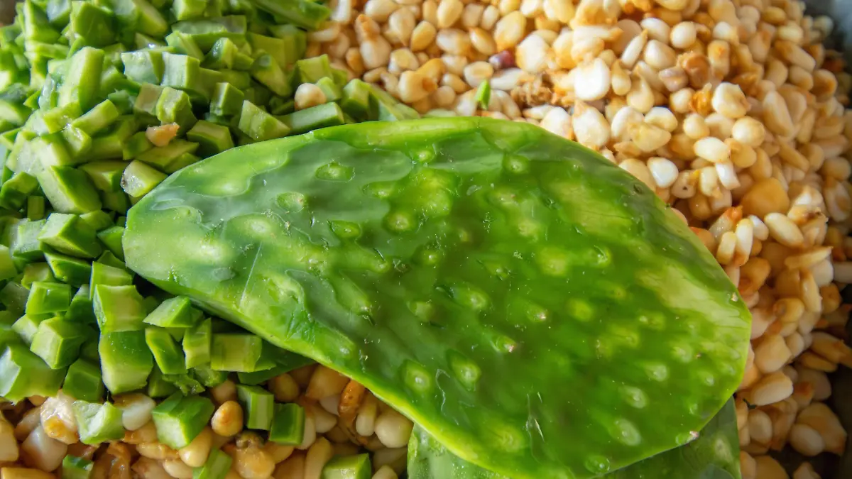 Tortillas de nopal