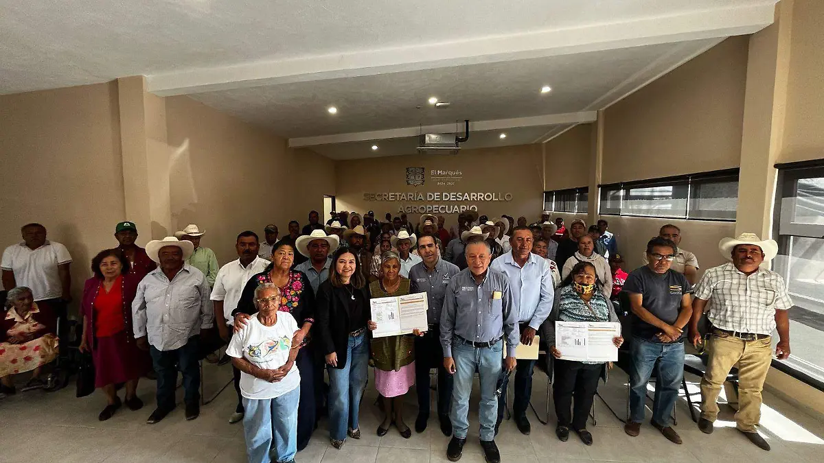 BUSCAN OPTIMIZAR