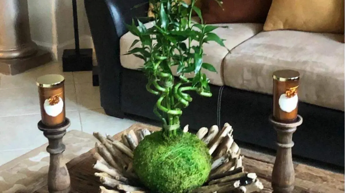 Bambu 2
