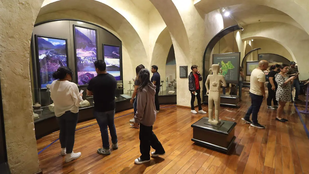 GO_MUSEO REGIONAL