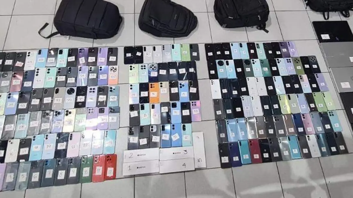 31ed06ff-bb97-403f-b2e2-bcbeea59d599