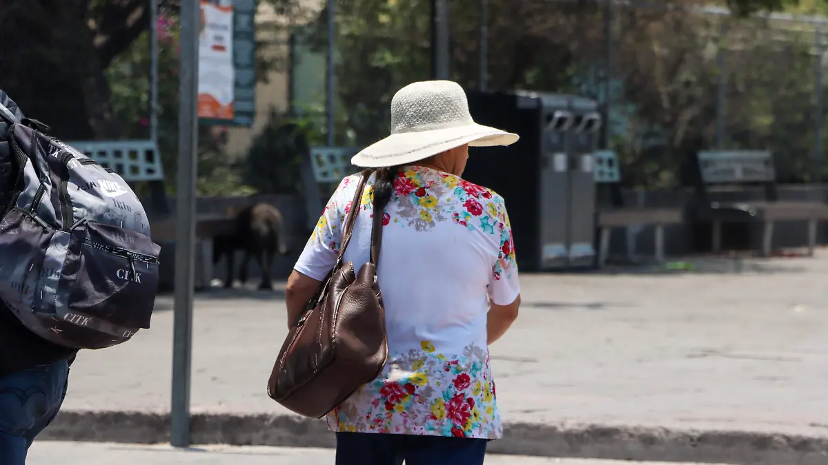 250515_CALOR SANTA ROSA JAUREGUI_IS-1