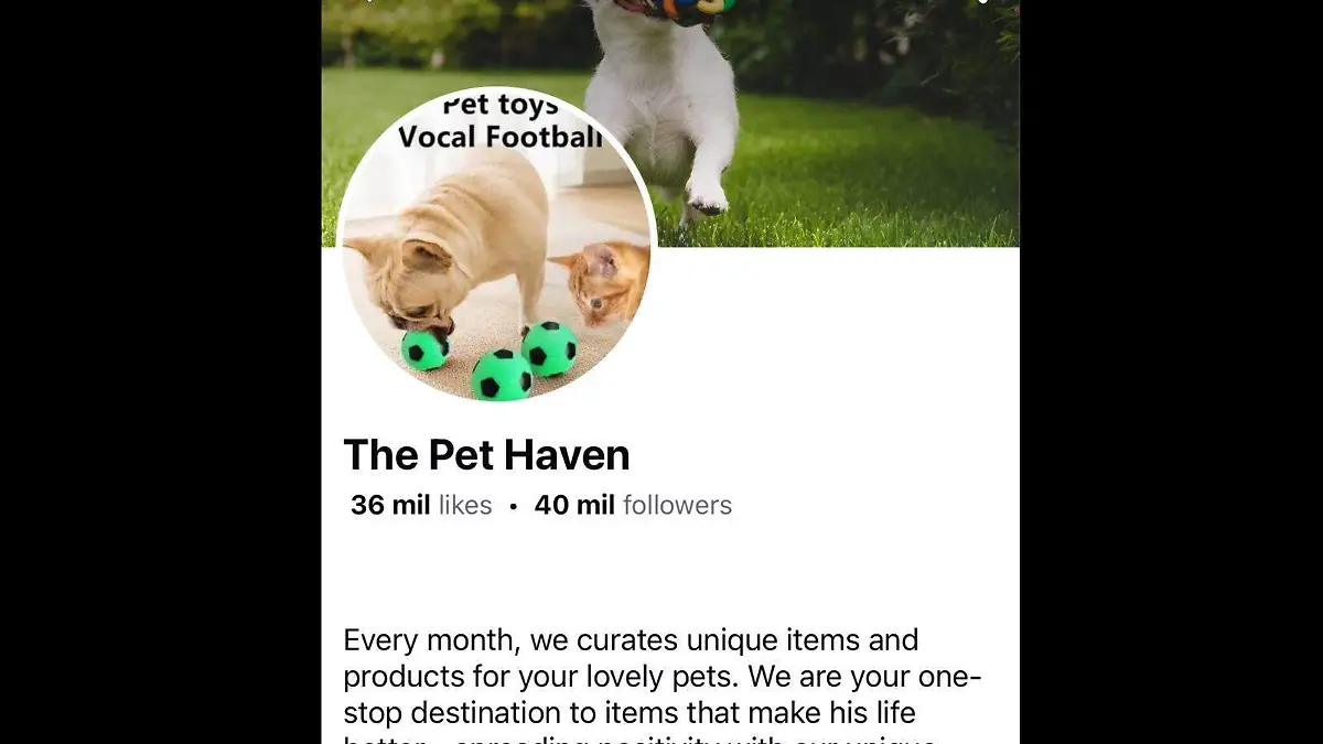 Museo de la ciudad hackeo