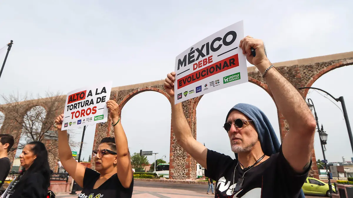 no a las corridas de toro