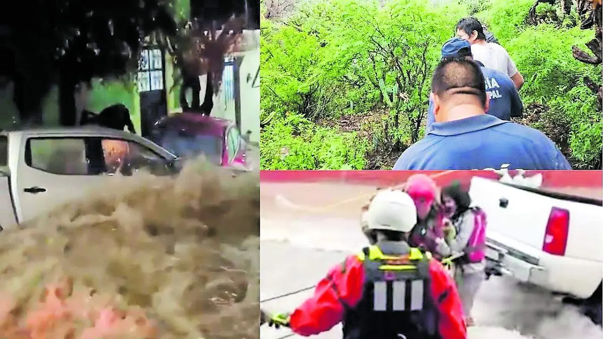 rescatados_CMYK