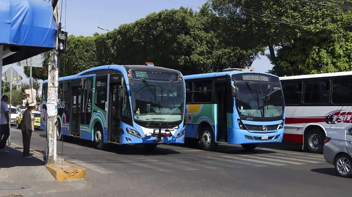 QROBUS AUMENTO