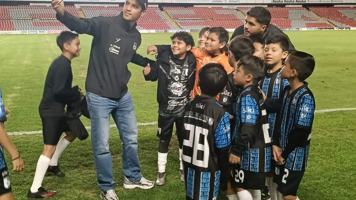 gallos blancos y filiales