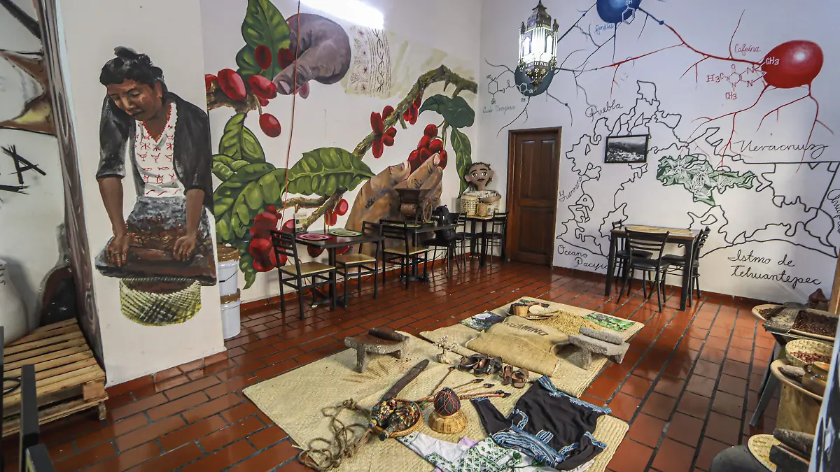 250625_LA MIRADA_MUSEO DE CAFE XUUKA_IS_9