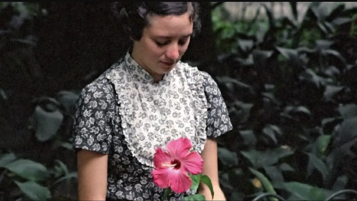 La hora de la estrella