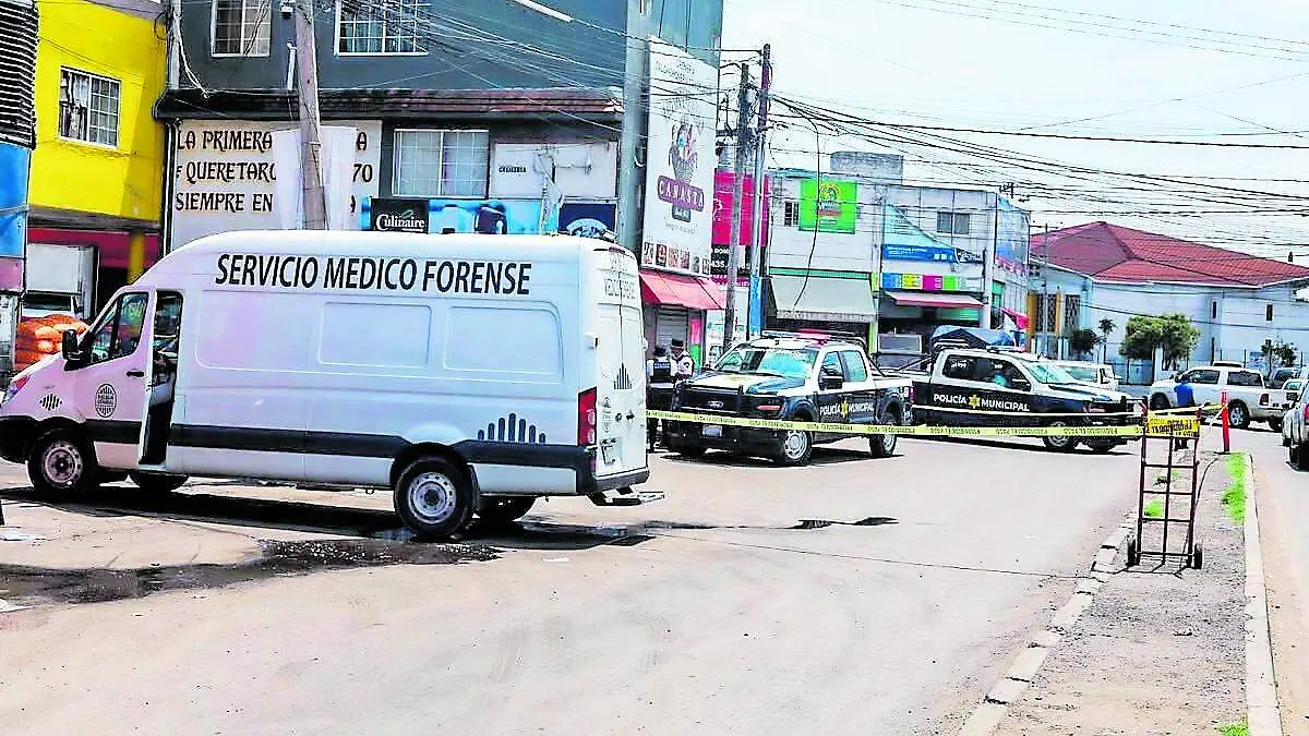 indigente_CMYK