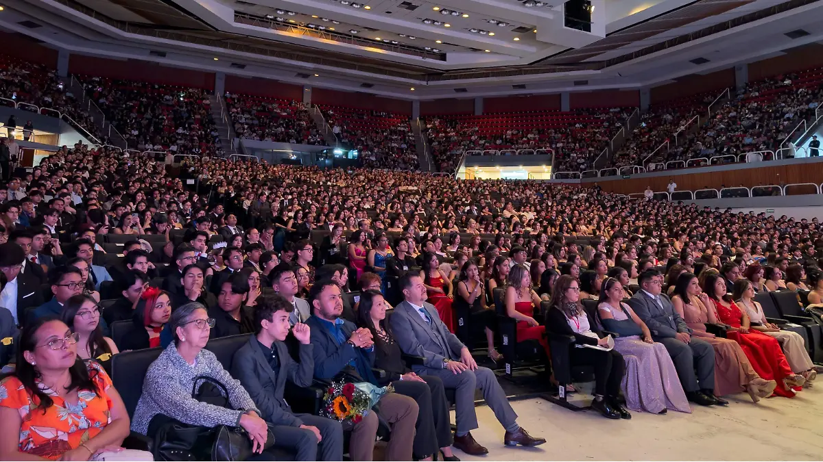 Fundación Ciudad Maderas 2