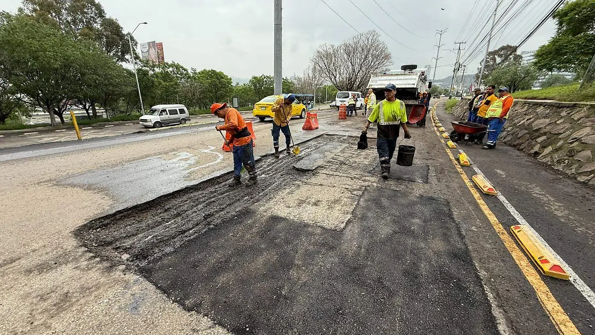 PROGRAMA CONTINUARA