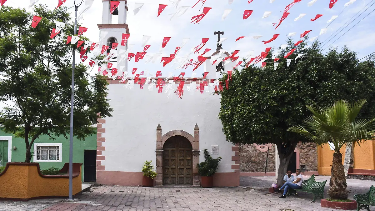 La Trini 8