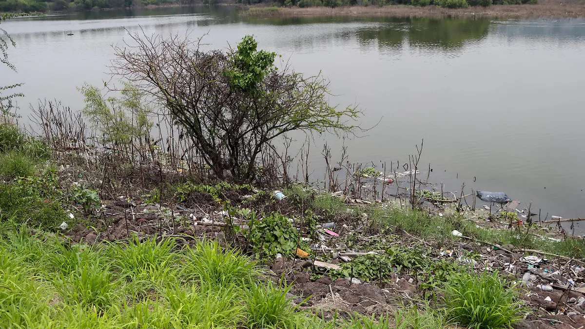 250718_BORDO BENITO JUAREZ PARQUE 2000_IS-03