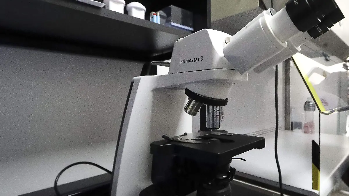 LABORATORIO MANTIENE