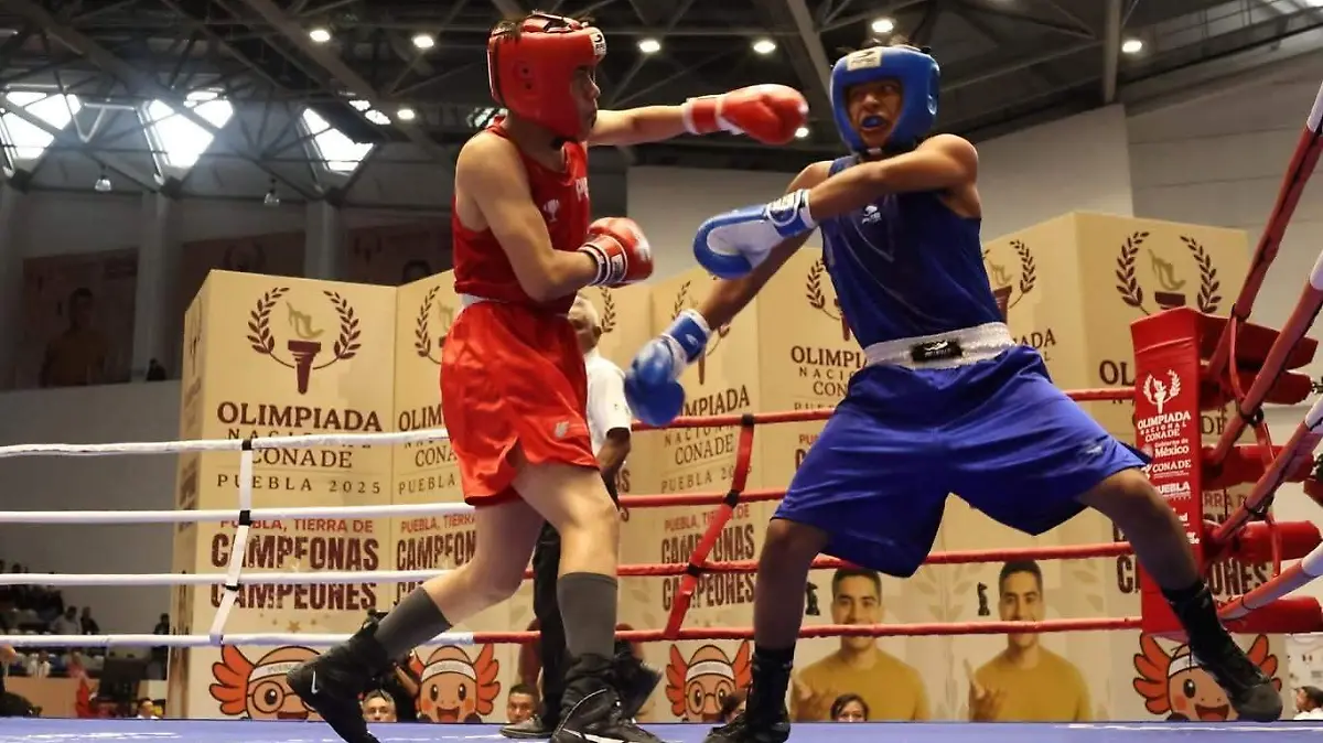 Pasión José Luis De La Cruz