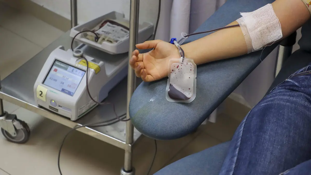 250613_DONACION DE SANGRE_CENTRO ESTATAL DE TRANSFUSION SANGUINEA_IS-31